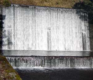 愛鷹ウォーター