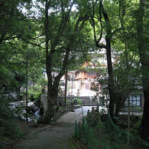 愛鷹ウォーター