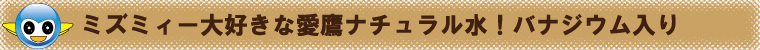 おしえてミズミィー！天然水