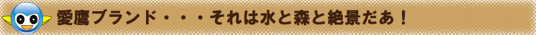 おしえてミズミィー！愛鷹ブランド
