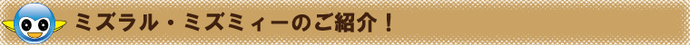 ミズミィーご紹介