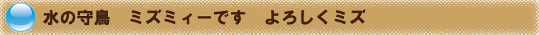 水の化身　ミズミィーです