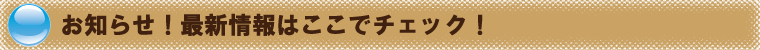 お知らせ！ミズミィーの最新情報はここでチェック！